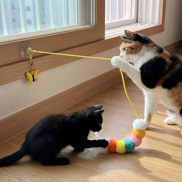 Elastik Kedi Oyun Oltası Kendinden Yapışkanlı