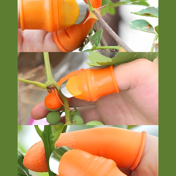 Meyve Soyucu Kesme Ayıklayıcı Karadeniz Fındık Vs Toplama Bahçe Işleri Keskin Bahçe Aparatı Parmaklı