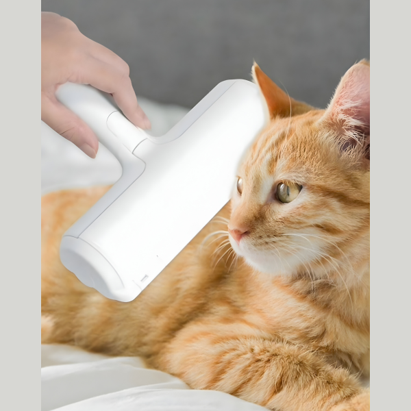 Hazneli Kedi Köpek Evcil Hayvan Kazak Kıyafet Elbise Halı Yatak Tüy Temizleyici Kıl Toz Toplayıcı