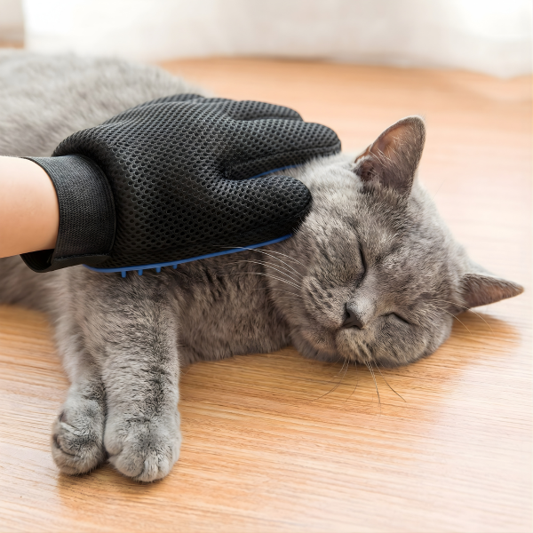 Kedi Köpek Tüy Toplama Eldiveni